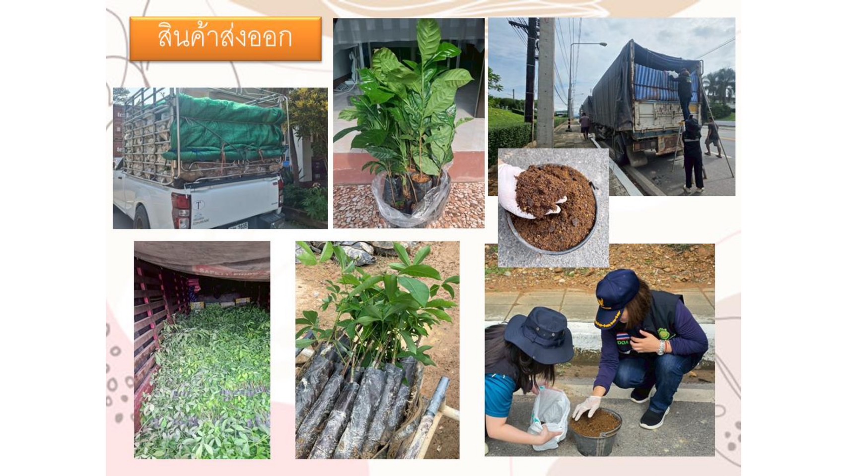 title - ผู้ตรวจราชการส.ป.ก.ได้รับมอบหมายจากผู้ตรวจราชการกระทรวงเกษตรและสหกรณ์ เป็นประธานการประชุมติดตามแผนการตรวจราชการ และการขับเคลื่อนแบบบูรณาการ ประจำปีงบประมาณ พ.ศ. 2568 รอบที่ 2  เขตตรวจราชการที่ 16 จังหวัดน่าน